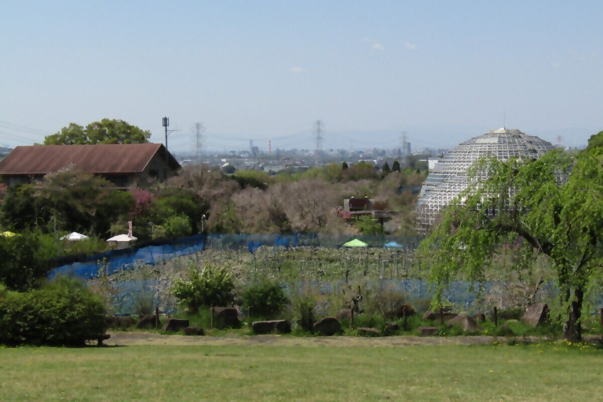 東谷山フルーツパーク 東谷山フルーツパークの外観の写真