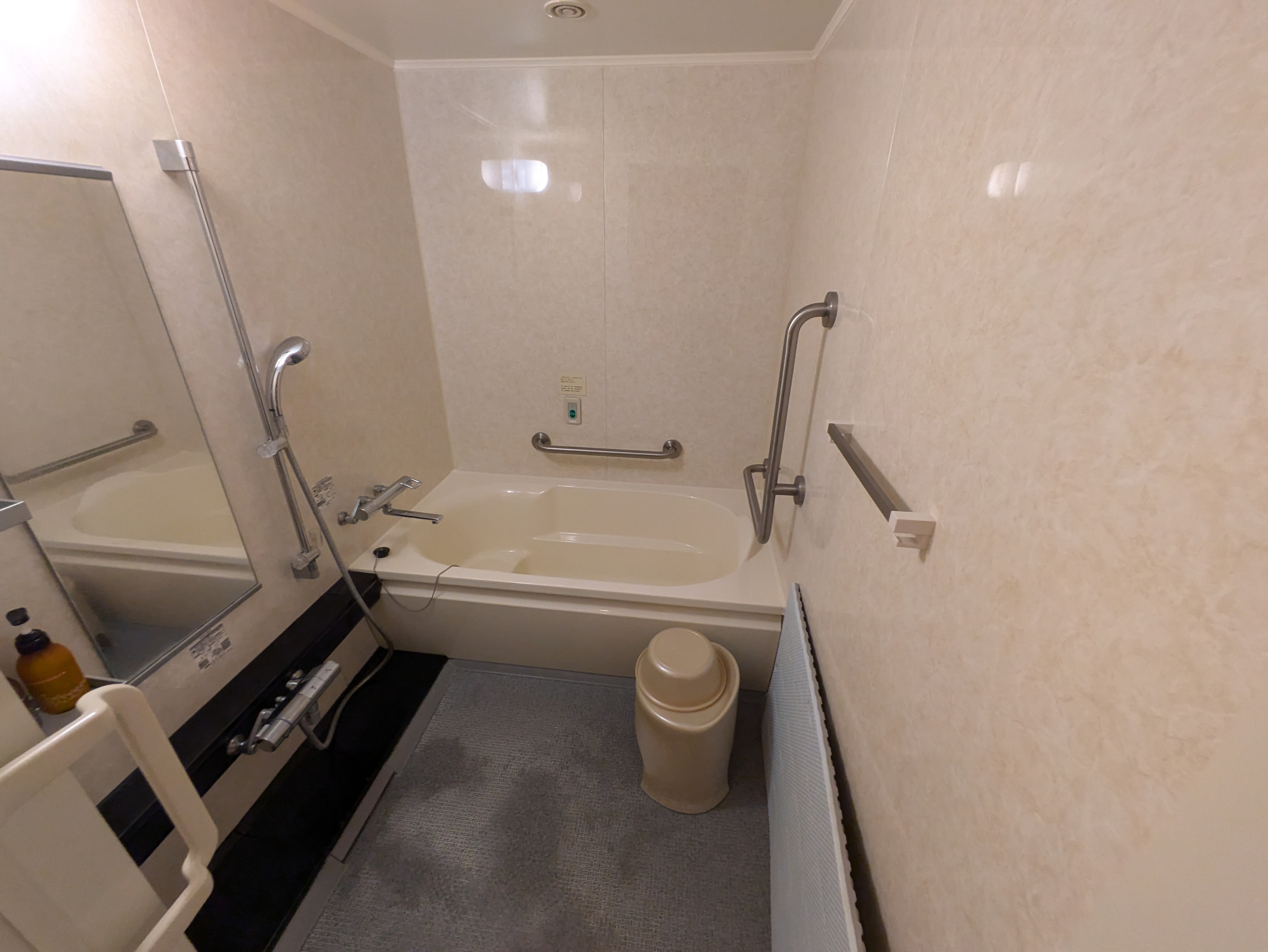 Photo of the bathroom of an accessible room