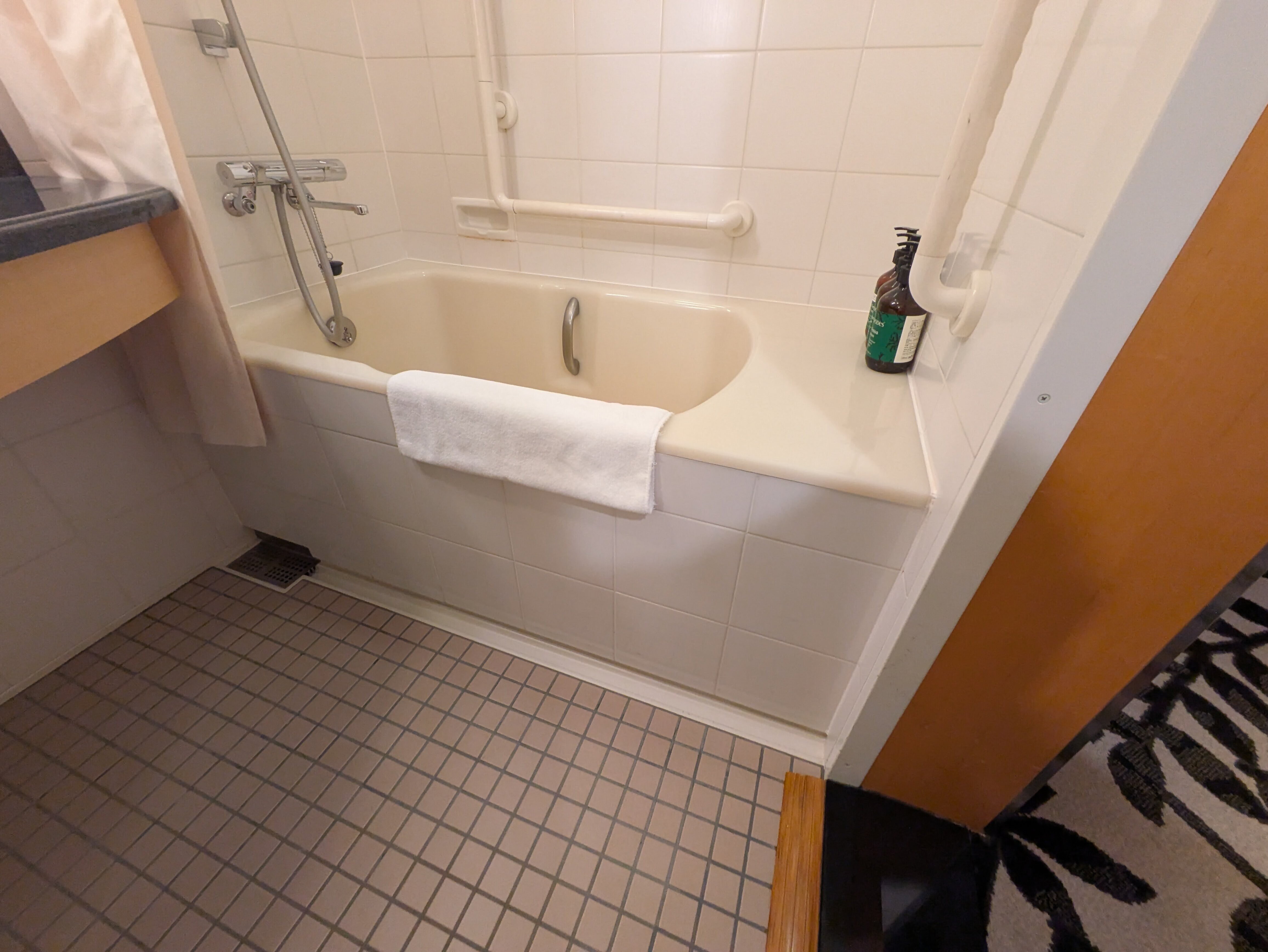 Photo of the bathroom in the accessible room