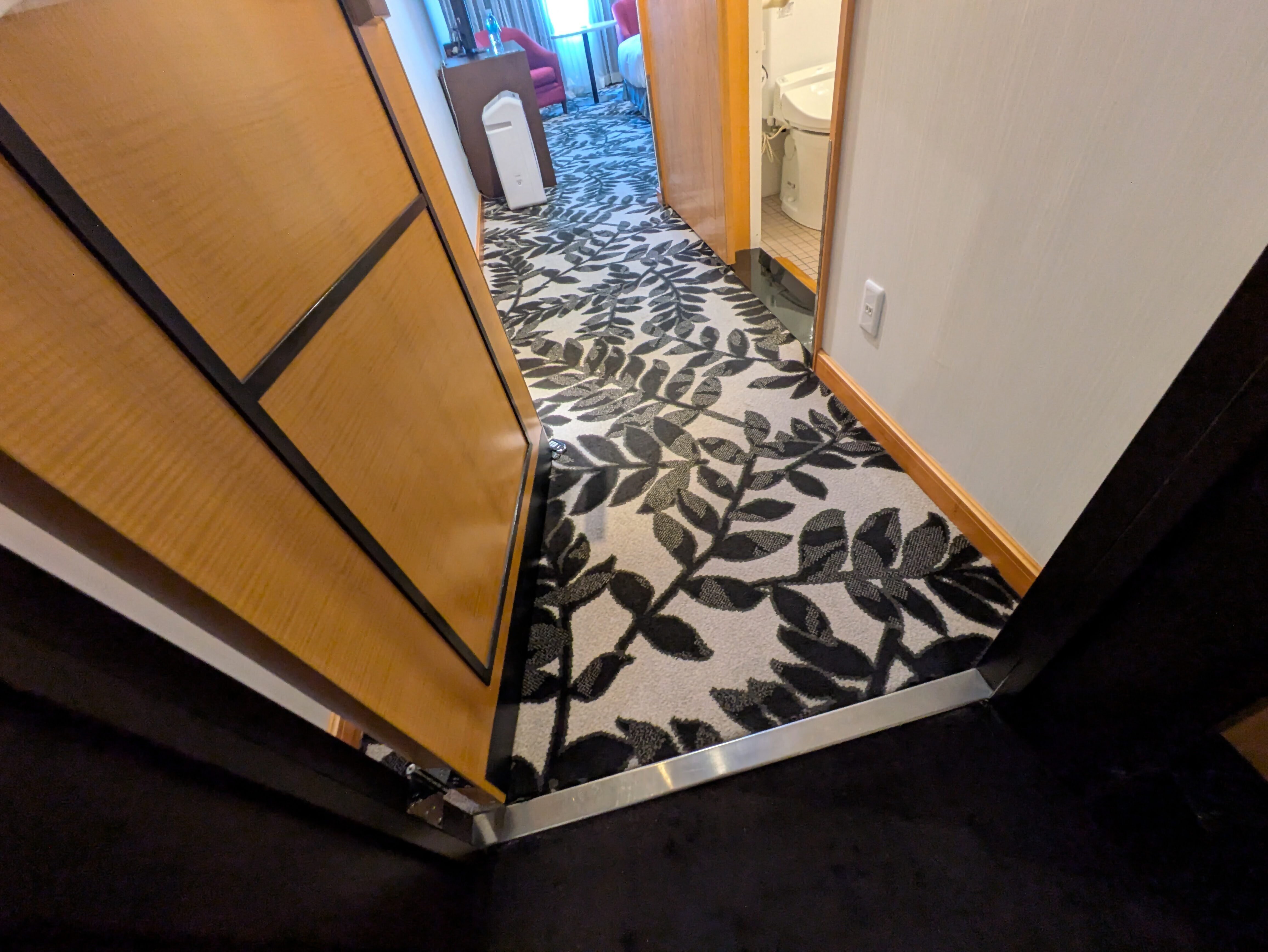 Photo of the passageway in the accessible room