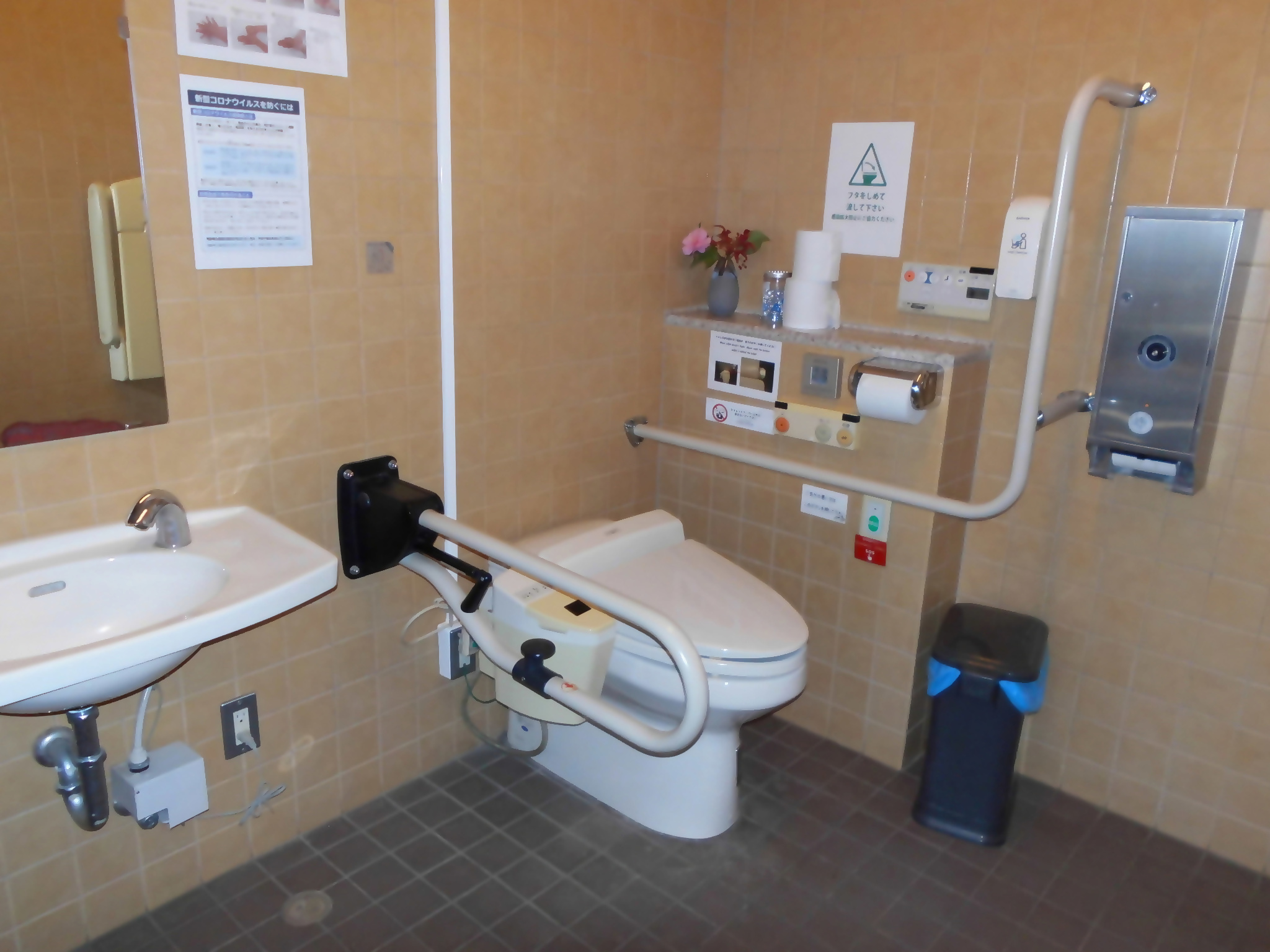 Photo of the interior of the accessible toilet at the Ozone entrance