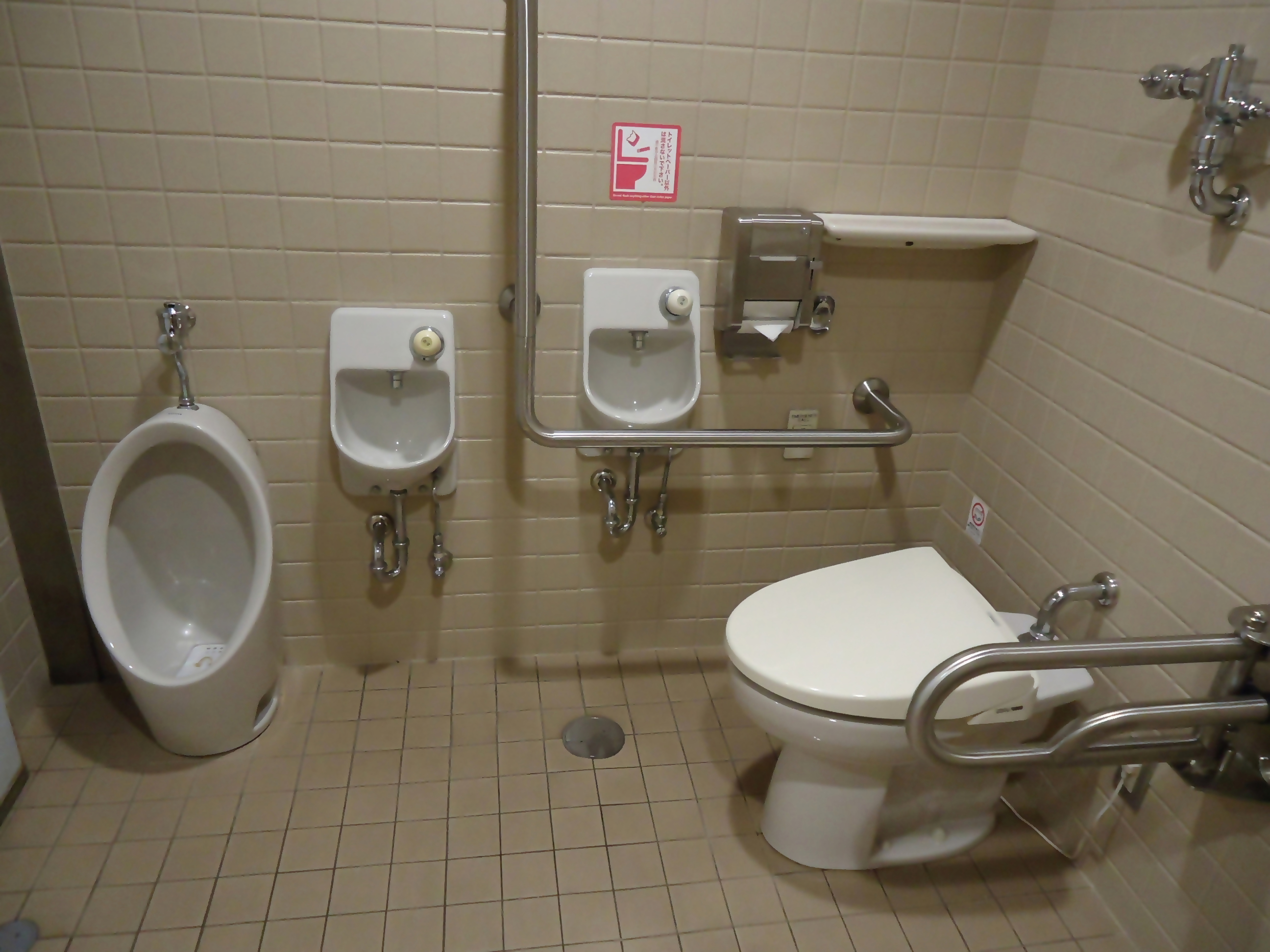 Photo of the accessible toilet