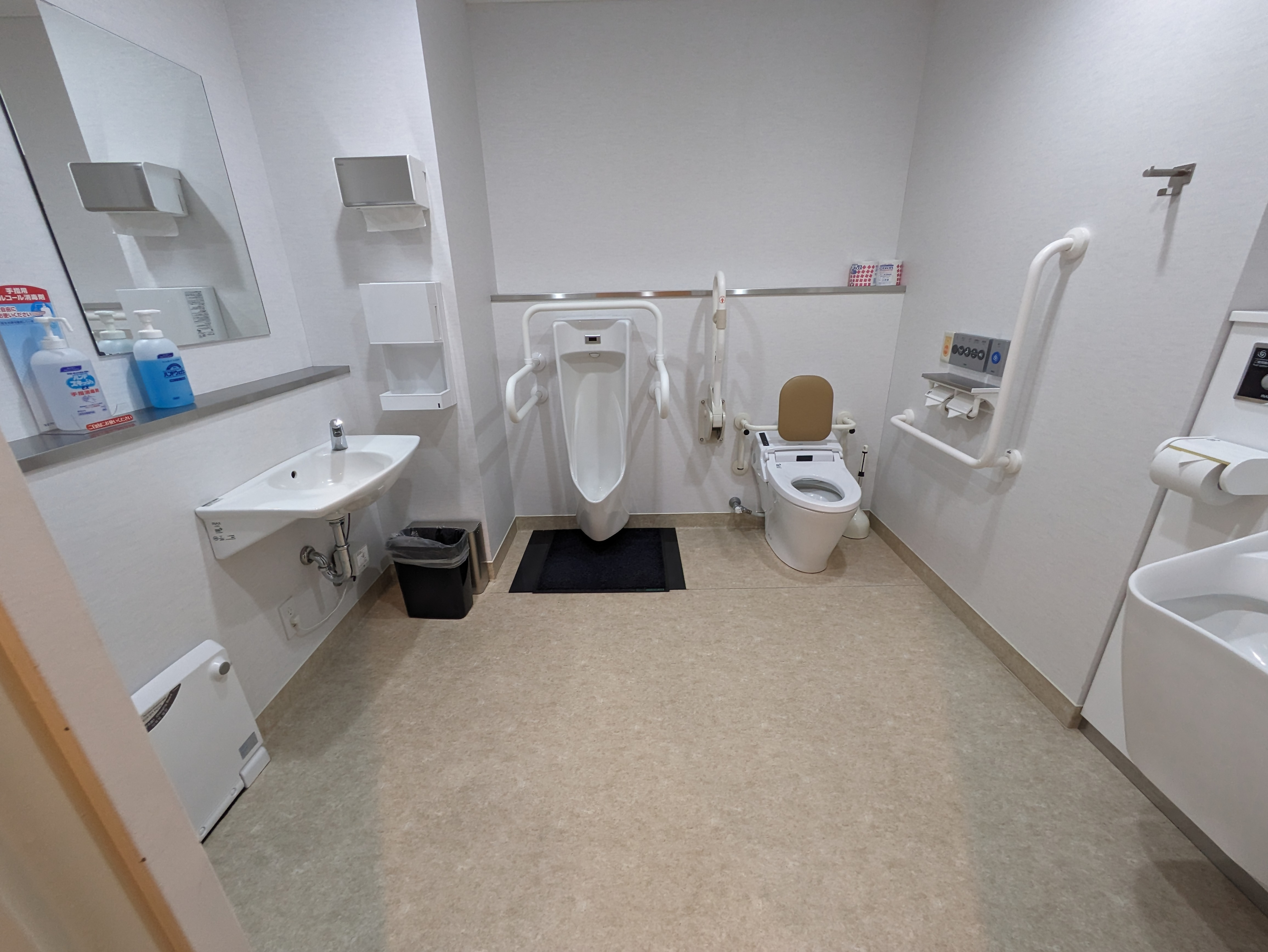 Photo of the handicapped-accessible toilet