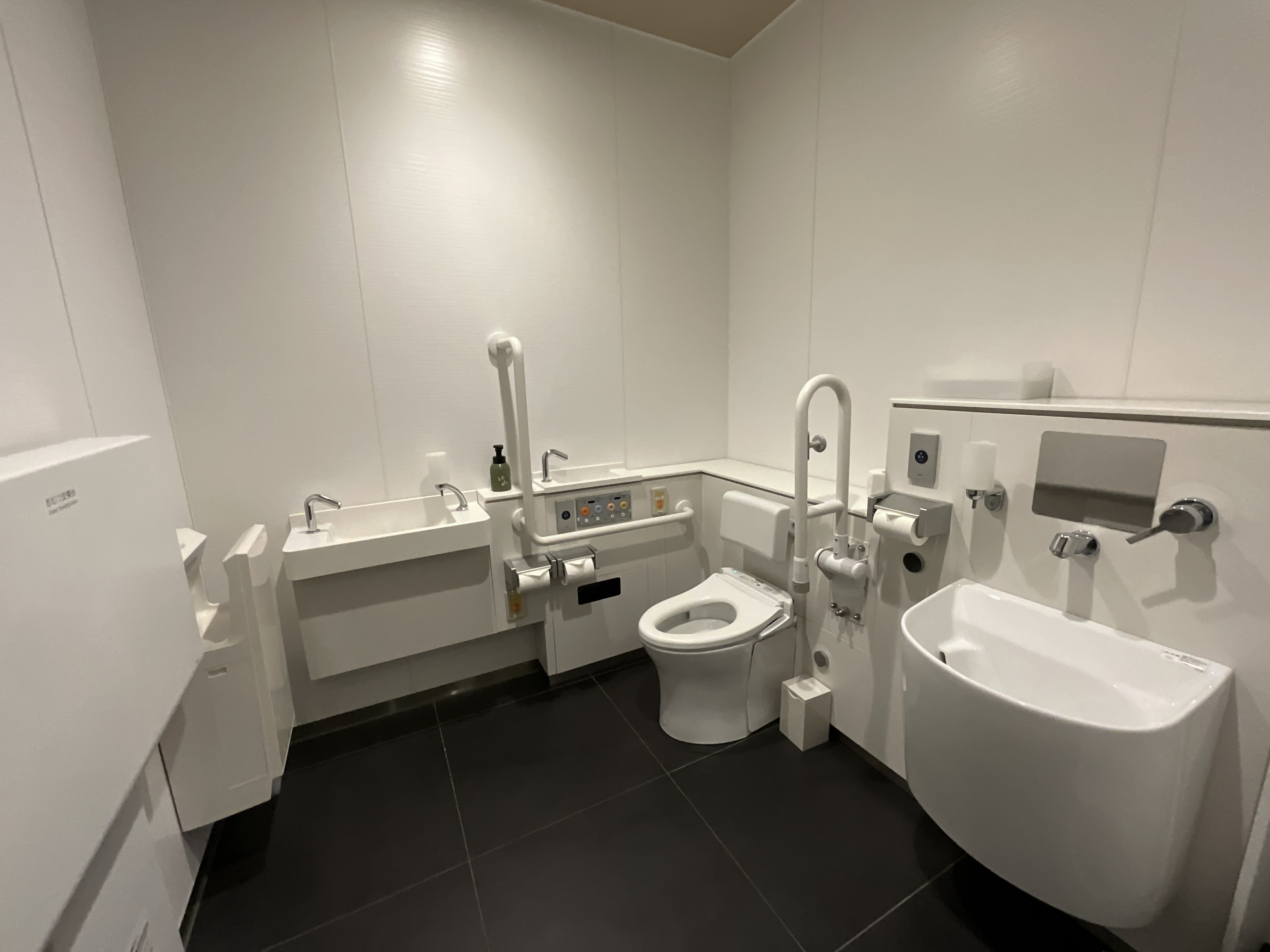 Photo of the accessible toilet