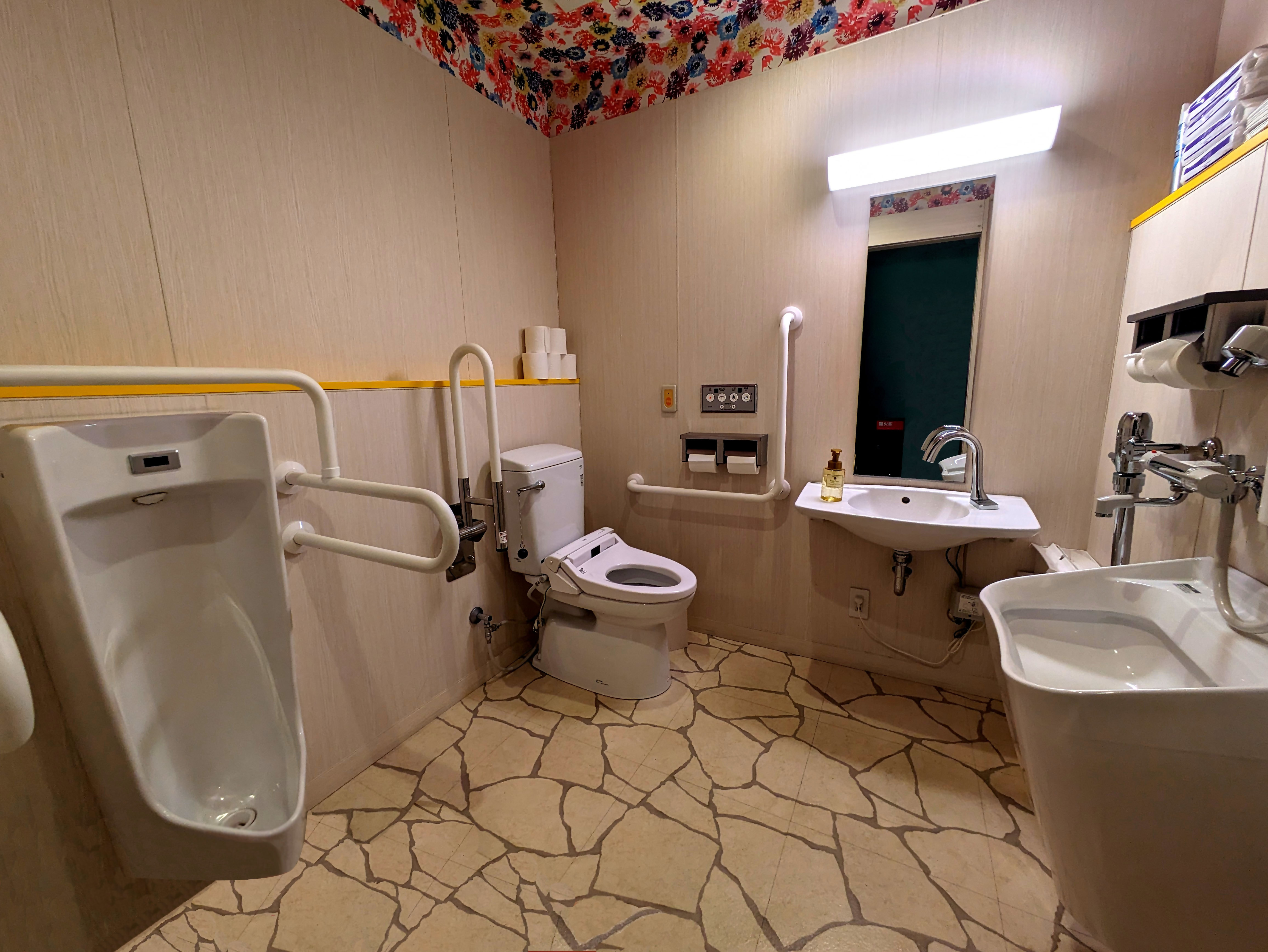 Photo of the handicapped-accessible toilet