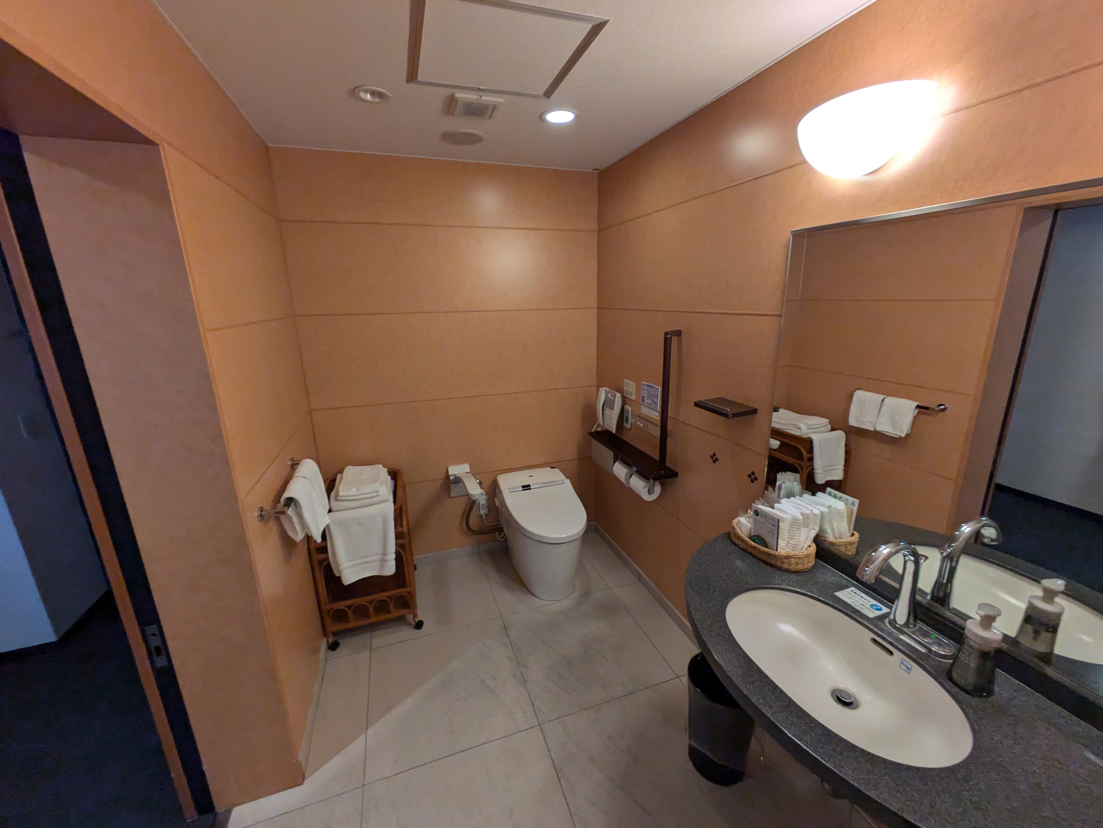 Photo of the toilet in an accessible Room