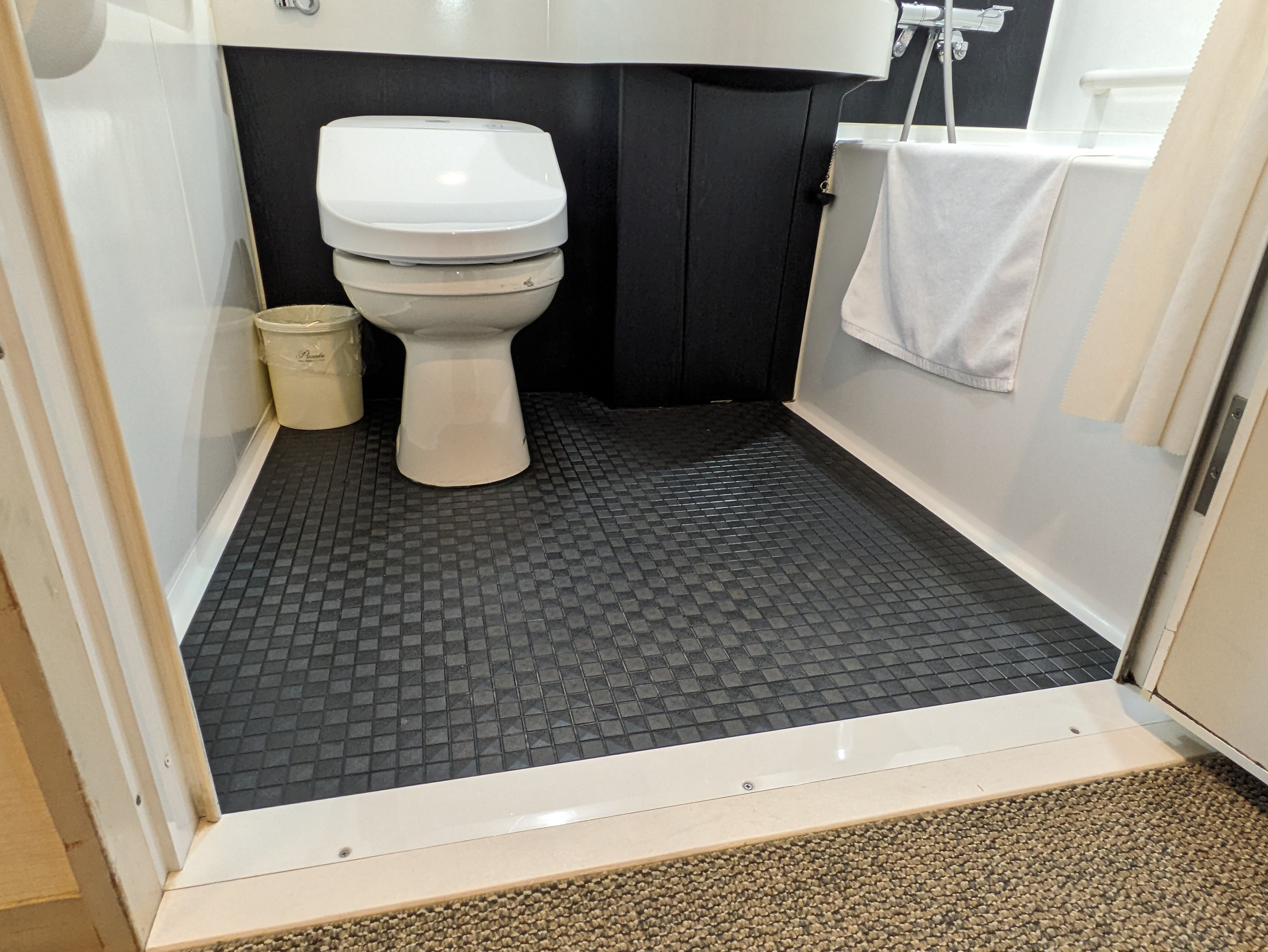 Photo of the handicap accessible toilet