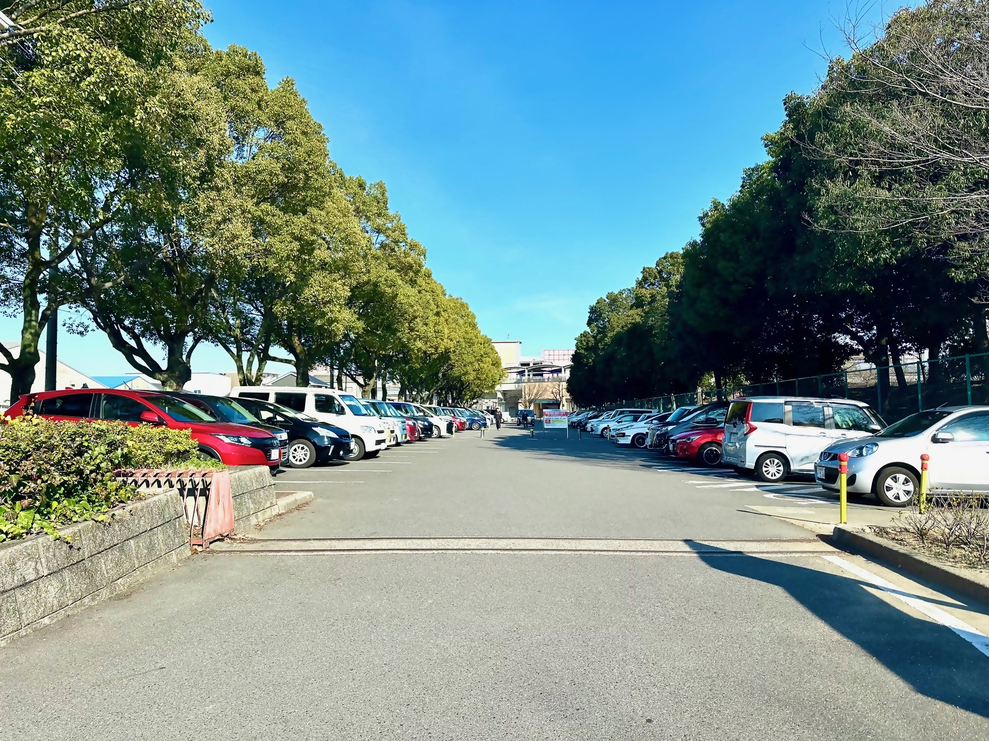 荒子川公園北駐車場の写真