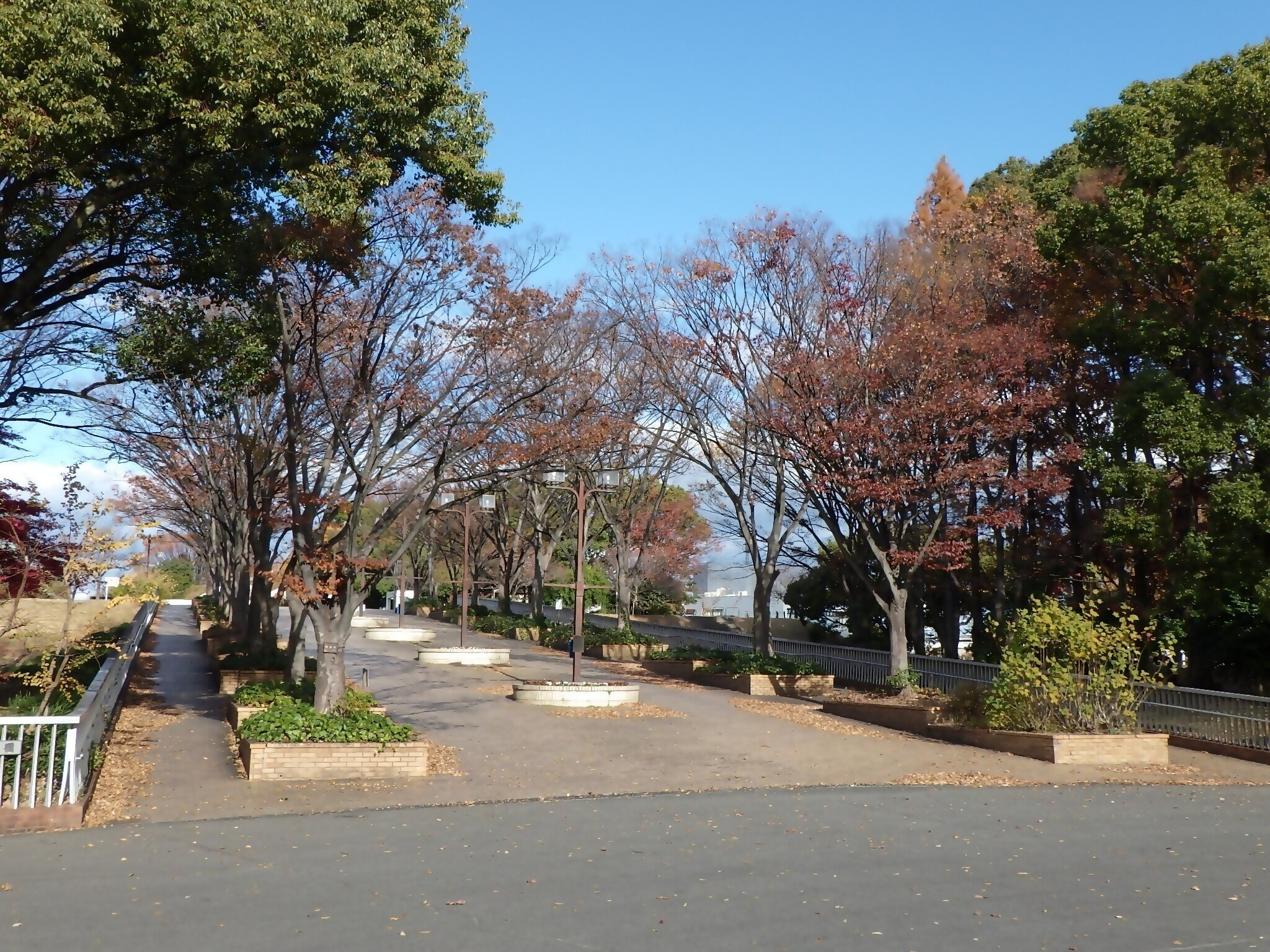 園內長坡道(照片)